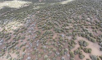 5079 N Pineveta Rd, Ash Fork, AZ 86320