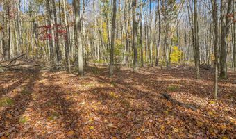 419 Algerine St, Afton, NY 13730