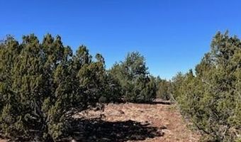 44 County Road 8114, Concho, AZ 85924