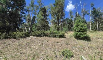 Plesant Valley lot 1302, Angel Fire, NM 87710