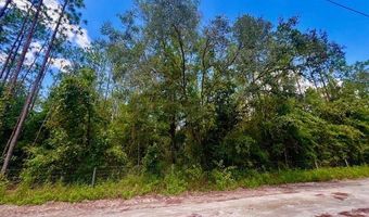 65 Th St, Bell, FL 32619