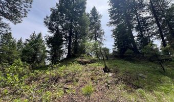 Tbd Hilltop Road 43 & 44, Cascade, ID 83611