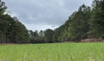 7901 Ashleigh Rd, Blackville, SC 29817