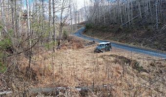 99999 Big Rock Creek Dr, Bakersville, NC 28705