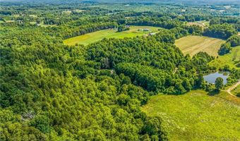 157 Buttercup Ln, Ararat, NC 27007