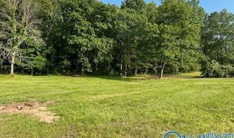 741 Poplar Springs Trl, Ashville, AL 35953