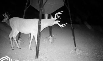 560 Th Ave, Albia, IA 52531