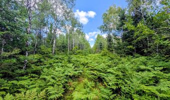 33 Acres Off Net Riv, Amasa, MI 49903