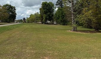 1151 Hwy 123, Ariton, AL 36311