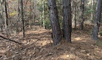 2423 Mill Creek Rd, Bethune, SC 29009