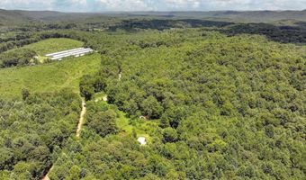 212 Brans Chapel Rd, Attalla, AL 35954