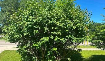129 W Hueber St, Alpena, MI 49707