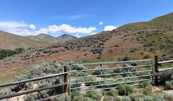 NKN E Tower Creek Road, Carmen, ID 83462