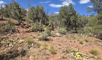 444 445 S Arizona Rd, Ash Fork, AZ 86320