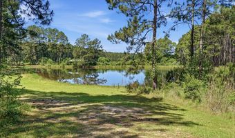 501 Southern Lks, Arabi, GA 31712