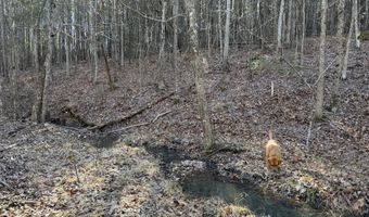 MOUNTAIN CUT RD lot D, Appomattox, VA 24522