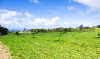 54-1749 PAIPO KANE Rd, Kapaau, HI 96755
