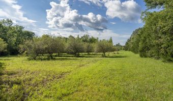 0 Hwy 14, Aliceville, AL 35442