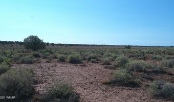 Tbd Wicked Sisters Way 38ac, Concho, AZ 85924