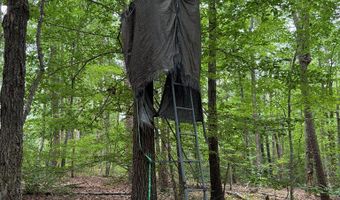 9891 Baskerville Rd, Baskerville, VA 23915