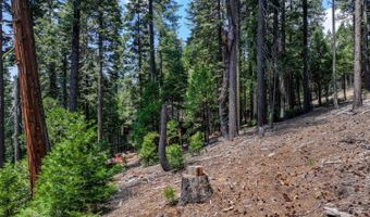 4741 Meko Dr, Camp Connell, CA 95223