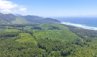 Shark Creek Ln, Arch Cape, OR 97102