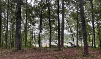 1 CENTURAS Cir 2, Alpine, AL 35014