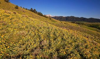 Four Bar Ranches Corbly Gulch Road, Belgrade, MT 59714