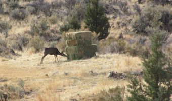 2335 Crowley-Riverside Rd, Arock, OR 97902