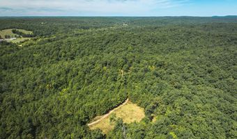 470 County Road 118, Annapolis, MO 63670