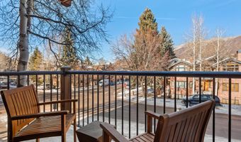 205 E Durant Ave Unit 1G, Aspen, CO 81611