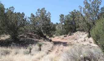 Tbd Mauer Drive, Bent, NM 88314