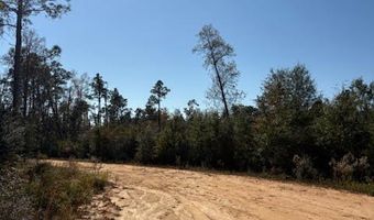 Southern Boulevard lot 27, Alford, FL 32420