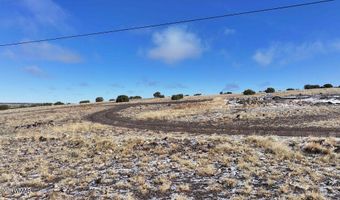 102 County Road 5105, Concho, AZ 85924