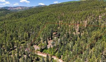 345 Skyline Dr, Bayfield, CO 81122