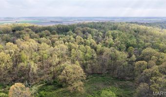 0 County Road 261, Advance, MO 63730