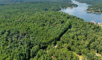 000 McCoy Pointe Dr, Arley, AL 35541