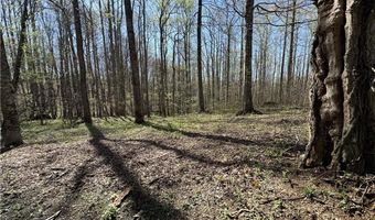 Tbd Katie Lane, Bakersville, NC 28705