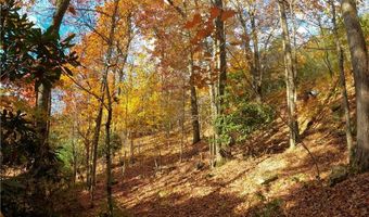 Tbd Forest Spring Lane, Boone, NC 28607