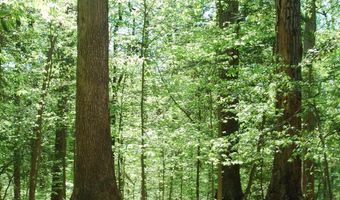 Parcel 45 BRYAN POINT Road, Accokeek, MD 20607