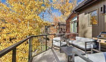 522 Spruce St, Aspen, CO 81611