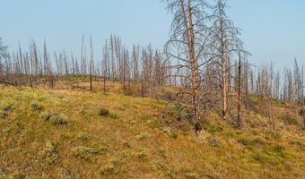 TRACT 17 FISHERMAN CREEK Road, Bondurant, WY 82922
