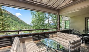 730 S Galena St, Aspen, CO 81611