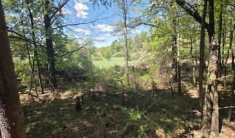 15252 27 Mile Rd, Albion, MI 49224
