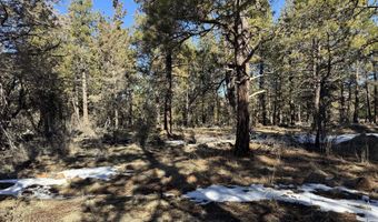 Golden Eagle Drive 30, Bonanza, OR 97623