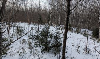 N County Highway W lot 0, Winter, WI 54896