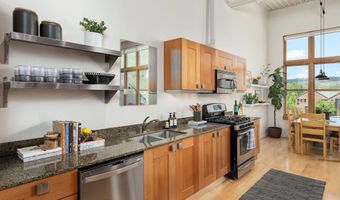 231 Robinson St 320, Basalt, CO 81621