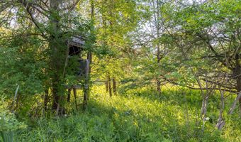 28 Mile Rd, Albion, MI 49224