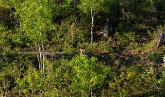10643 CR 501, Bayfield, CO 81122