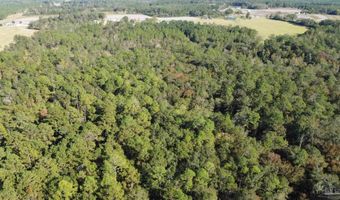 0 Cowpen Creek Rd, Atmore, AL 36502
